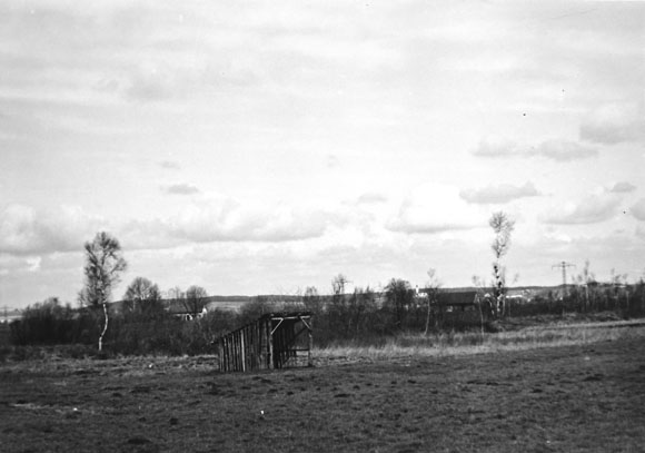 Konrad Sommer: Dachauer Moos, Schwarzweißfoto, um 1965