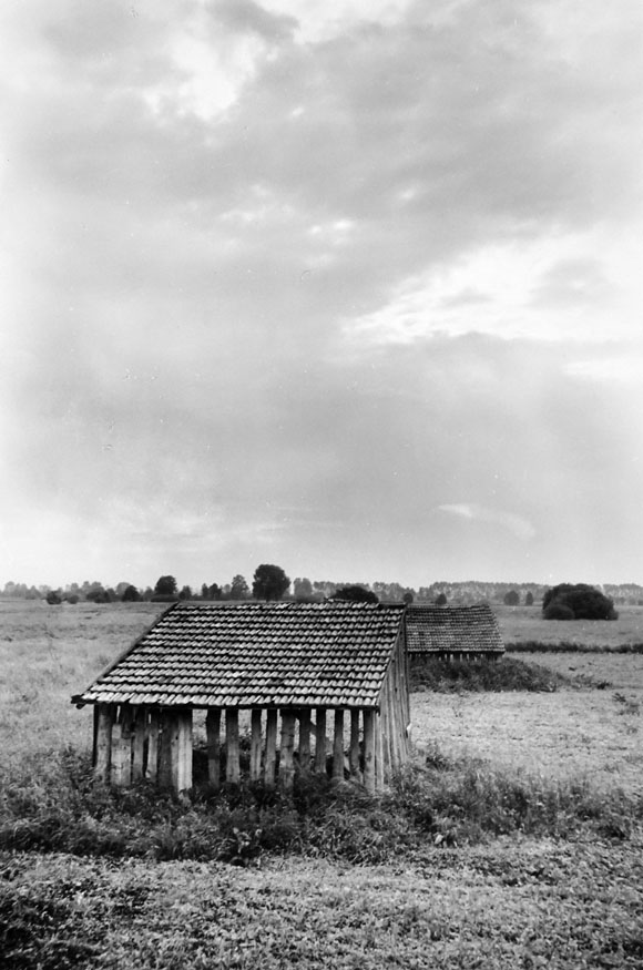 Konrad Sommer: Dachauer Moos, Schwarzweißfoto, 1967