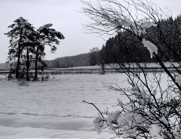 Konrad Sommer: An den Osterseen, Schwarzweißfoto, 1977